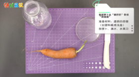 2024年5月 看胡萝卜从“皱巴巴”变成“绿盈盈”