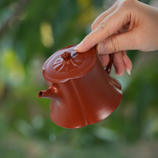 龙德堂陶艺 汤宣武制《金香》190cc 原矿大红袍  库存请咨询客服 商品图4