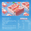蜜雪冰城红西柚汁 条装冲饮 清新果香 爽口解腻 商品缩略图4