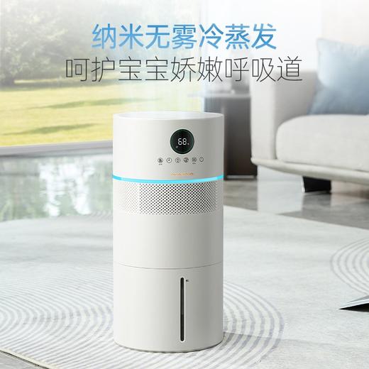 摩飞无雾加湿器MR2806 商品图1