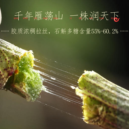 【女神节】恒寿堂 冻干石斛 16.5g 商品图1