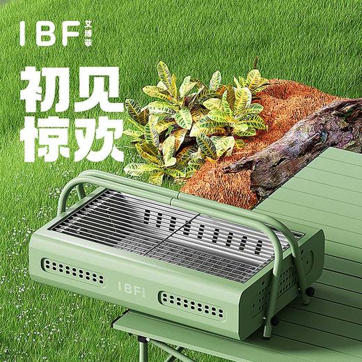 IBF艾博菲艾博菲艾博菲初见惊欢提篮式烤炉【K】 商品图0