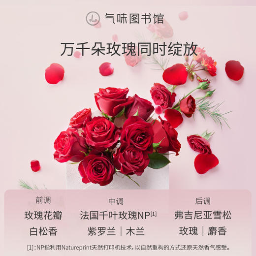 【花香调香水】气味图书馆淡香水坠入玫瑰海香型50ml 商品图2