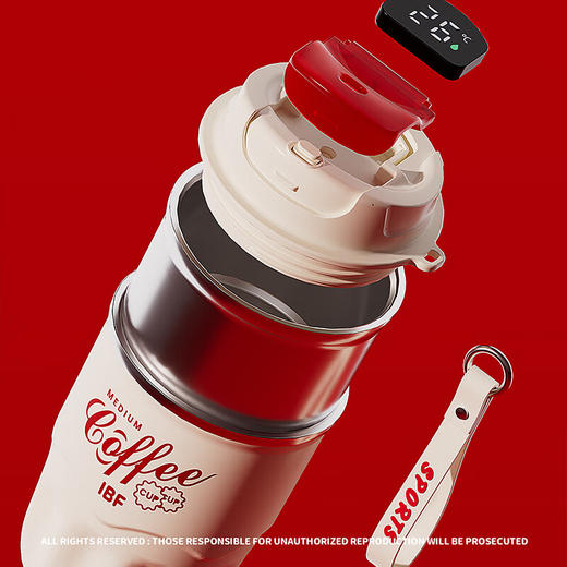 IBF艾博菲艾博菲艾享温显随行杯【K】 商品图0