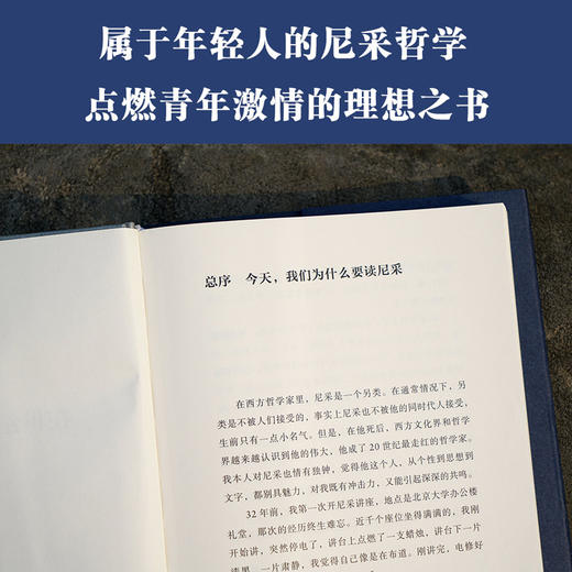 尼采：在世纪的转折点上（以尼采对生命意义的追思为线索，介绍了尼采的生平和思想） 商品图2