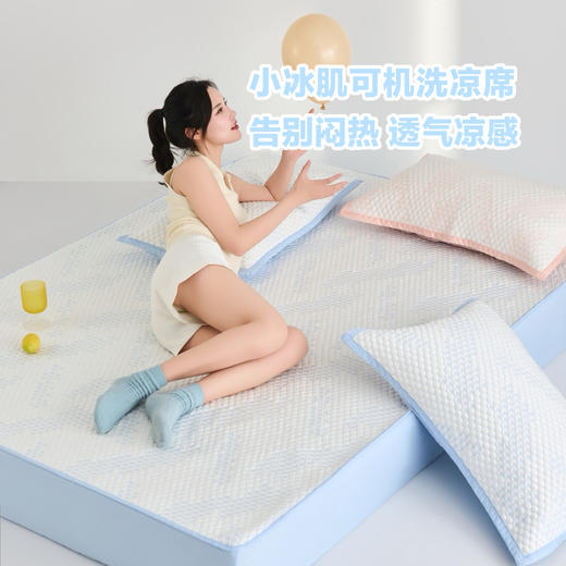 利路米经典款小冰肌床笠款可机洗凉感席热卖款 商品图0