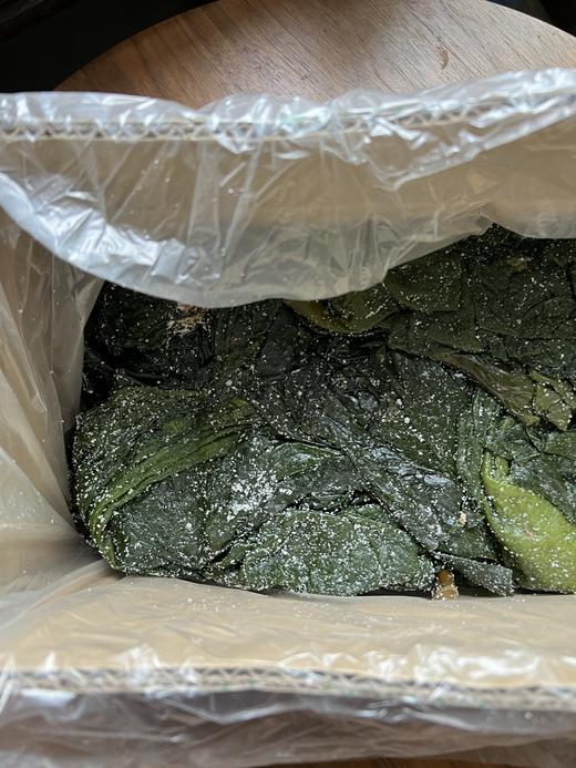 【渔人小胖】有机盐渍海带 2.5倍泡发率 有机认证 非人工养殖 深海自然生长 新鲜采摘 入口嫩滑 味道鲜美 商品图2