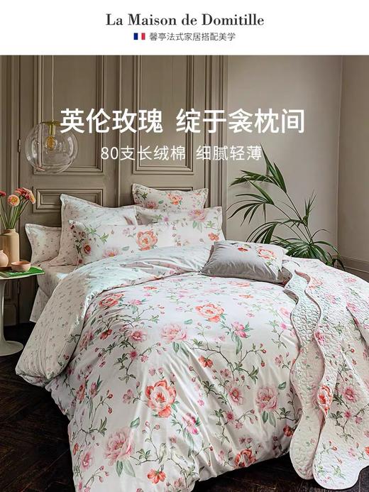 馨亭床品CV013波坦尼斯10250011 商品图0