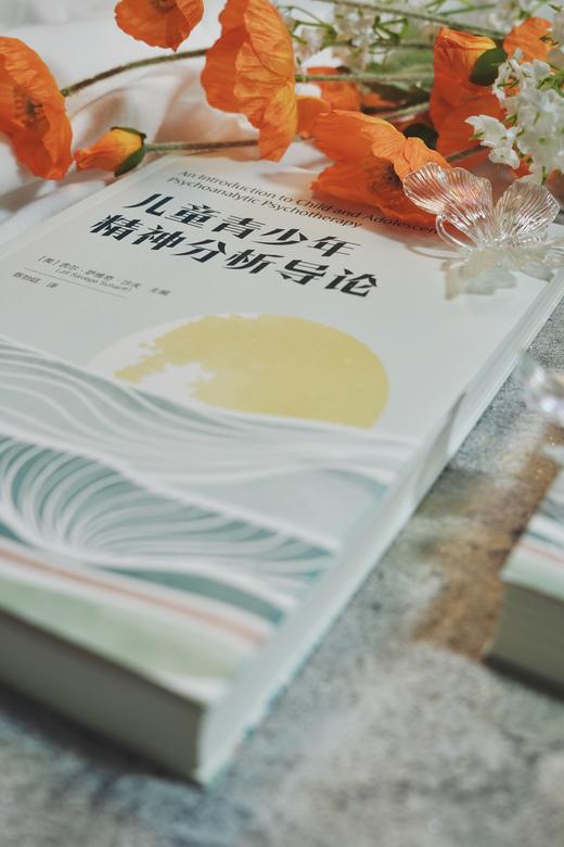 万千心理·儿童青少年精神分析导论 商品图2