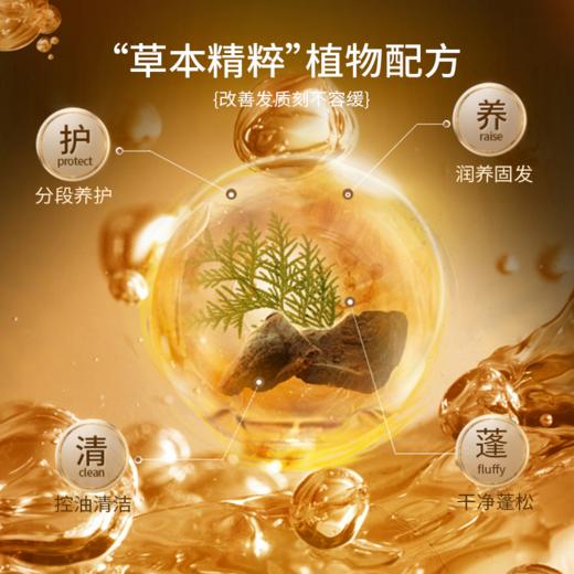  【润根源防脱洗发水】国妆特字，防脱固发，草本精粹，温和养发！限时福利，买一送一，到手2瓶只要79！ 商品图3