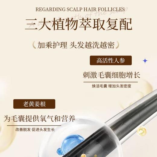 娜帕蒂卡 植萃控油去屑洗发水500ml 商品图1