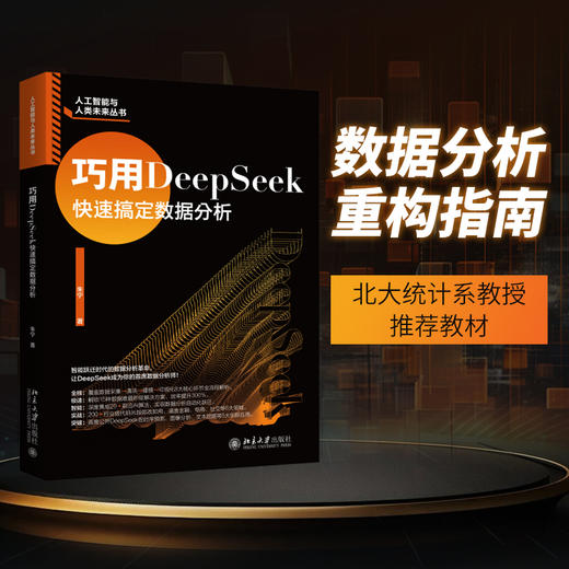 巧用DeepSeek快速搞定数据分析 朱宁 著 北京大学出版社 商品图1