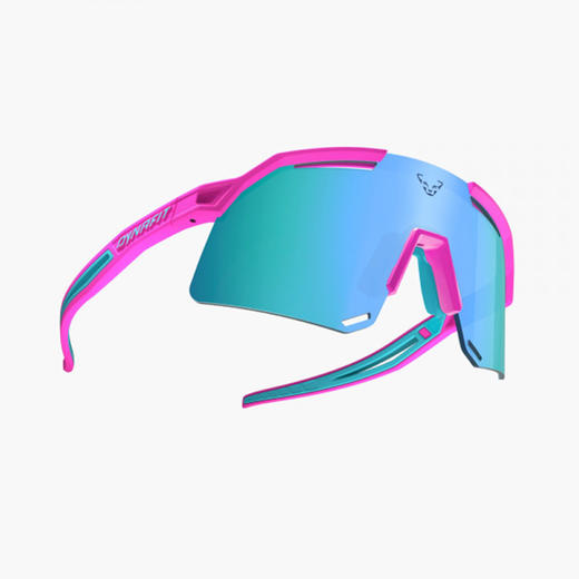 DYNAFIT 雪豹 Ultra/Trail Evo Sunglasses 太阳镜 商品图2