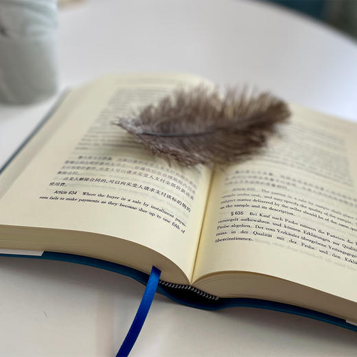 《中华人民共和国民法典》中,英,德文对照学习手册 商品图4