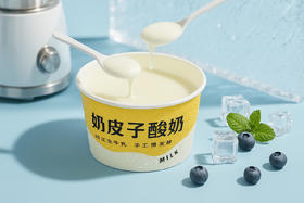味美特“奶皮子酸奶”夏季必备甜品