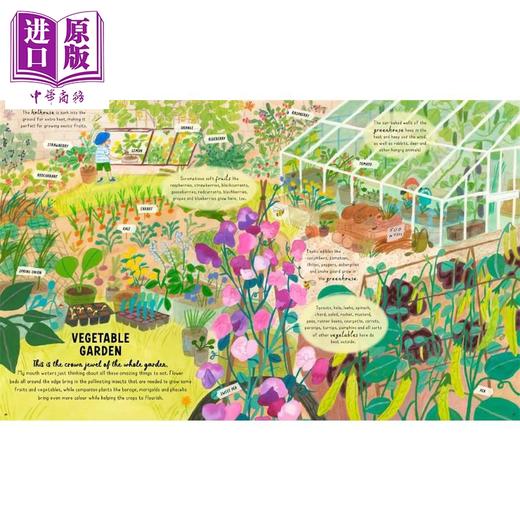 【中商原版】How to Grow a Garden 如何种植花园 英文原版  商品图4