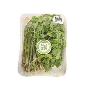 芹菜苗（份）(200±20g)
