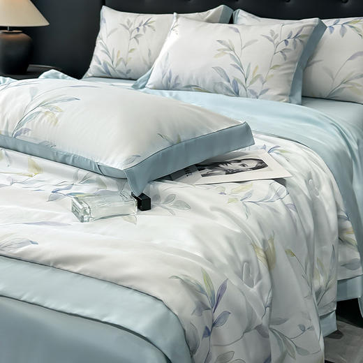 三泰龙 夏季莱赛尔天丝夏凉被四件套 商品图8