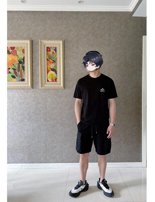 PLD新款徽章印花圆领短袖T 复古做旧印花标识 商品图8