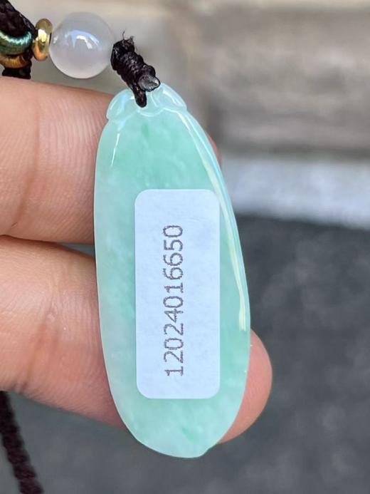 【云意轩翡翠】编号：6650 糯冰绿底翡翠福瓜  天然翡翠 附证书 商品图3