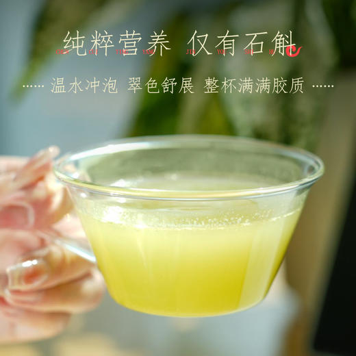 【女神节】恒寿堂 冻干石斛 16.5g 商品图3