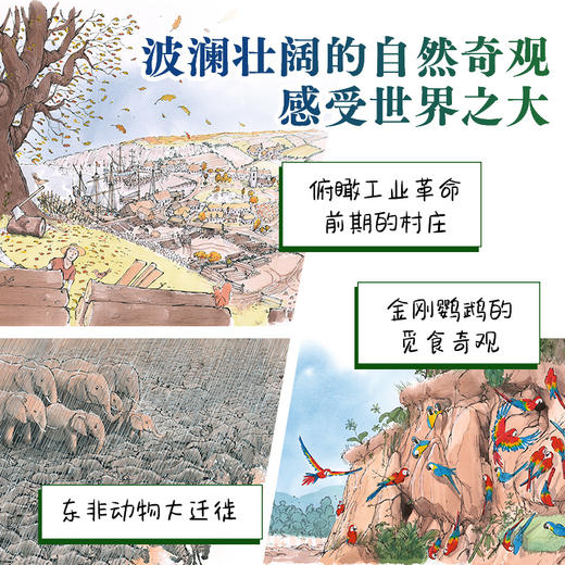 橡树见证的1000年全3册精装点读版大奖科普绘本凯特格林威提名作家作品经典畅销3岁+适读 商品图4