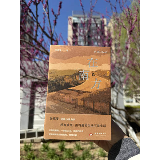 在南方 商品图3