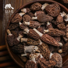野生小金羊肚菌 | 合作生产 * Wild Xiaojin Morel mushroom| Coproduction