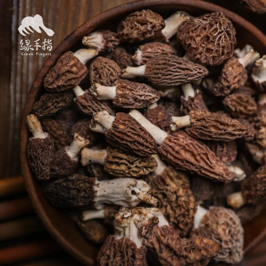 野生小金羊肚菌 | 合作生产 * Wild Xiaojin Morel mushroom| Coproduction 商品图0