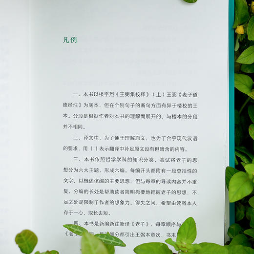 《道德经》（全彩图本） 商品图4