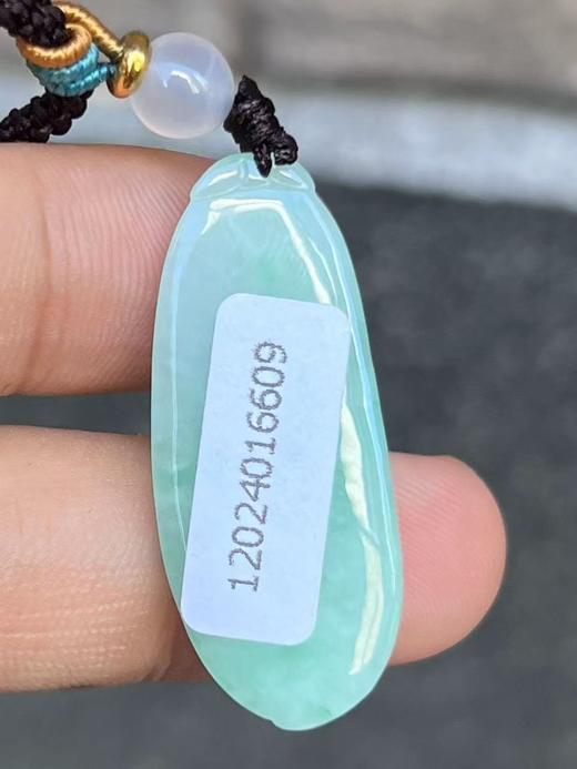 【云意轩翡翠】编号：6609 糯冰绿底翡翠福瓜  天然翡翠 附证书 商品图3