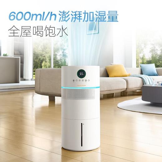 摩飞无雾加湿器MR2806 商品图2