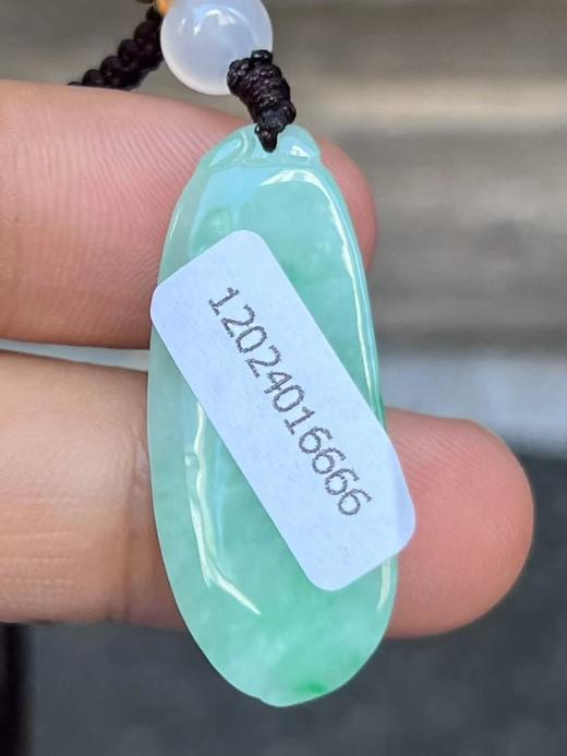 【云意轩翡翠】编号：6666 糯冰绿底翡翠福瓜  天然翡翠 附证书 商品图3