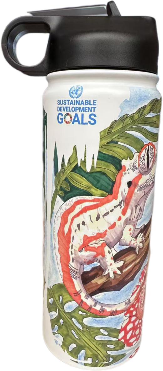 联合国可持续发展文创水杯（可儿童画联名定制） 商品图9