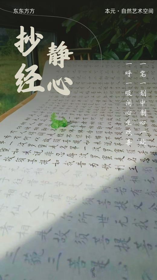 【线下】安琪老师 回村休息·杭州·瑜伽冥想颂钵茶会养生练功自然合一【7月12日13时至13日17时杭州·欢潭村】【1年内有效 权益商品不支持退款 谨慎下单】 商品图8