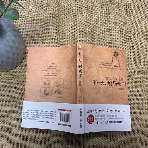 《有一天，妈妈老了》插画版 商品图5