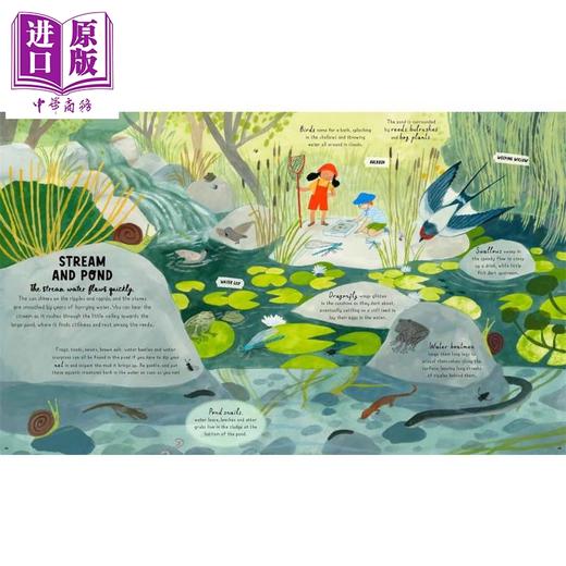 【中商原版】How to Grow a Garden 如何种植花园 英文原版  商品图2