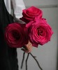 佛洛依德玫瑰（33枝） 商品缩略图2