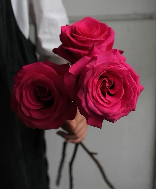 佛洛依德玫瑰（33枝） 商品图2