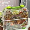 小演员手提恐龙礼盒仿真恐龙模型硬胶恐龙生日礼物套盒 商品缩略图4