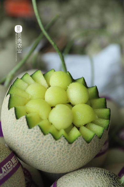 『梵·蜜』高品质『网纹瓜』 商品图6