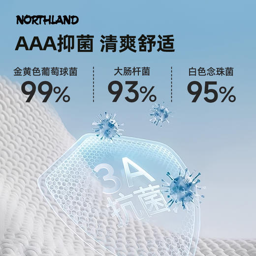 诺诗兰 观途男式翻领短袖T恤 NTSFH5213E 商品图3