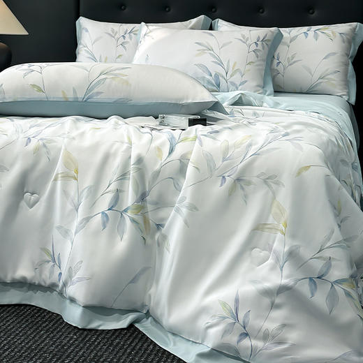 三泰龙 夏季莱赛尔天丝夏凉被四件套 商品图2