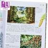 预售 【中商原版】树木大百科 树的秘密生命和树木眼中的人类故事 港台原版 英国DK出版社 香港商务印书馆 商品缩略图3