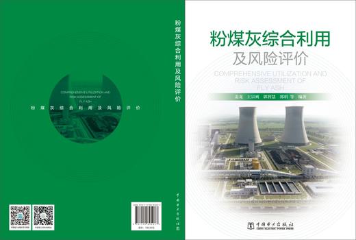 粉煤灰综合利用及风险评价 商品图2