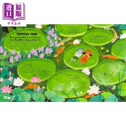 【中商原版】How to Grow a Garden 如何种植花园 英文原版  商品图3