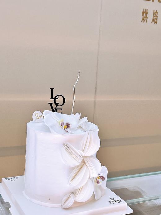 白玉兰 商品图1