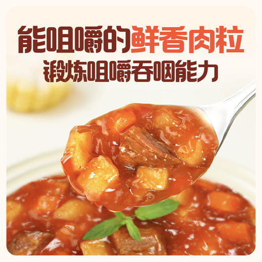 1.31怡芽儿童拌饭酱80/袋拌米饭面条儿童辅食 商品图1