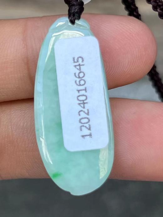 【云意轩翡翠】编号：6645 糯冰绿底翡翠福瓜  天然翡翠 附证书 商品图3