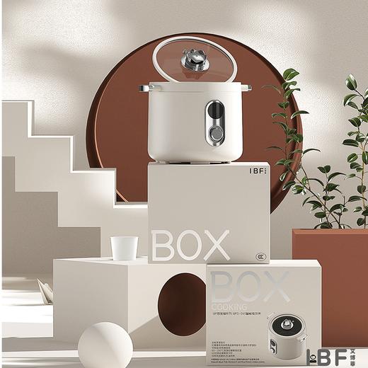 IBF艾博菲艾博菲（IBF）BOX百宝箱系列多能电饭煲【K】 商品图1